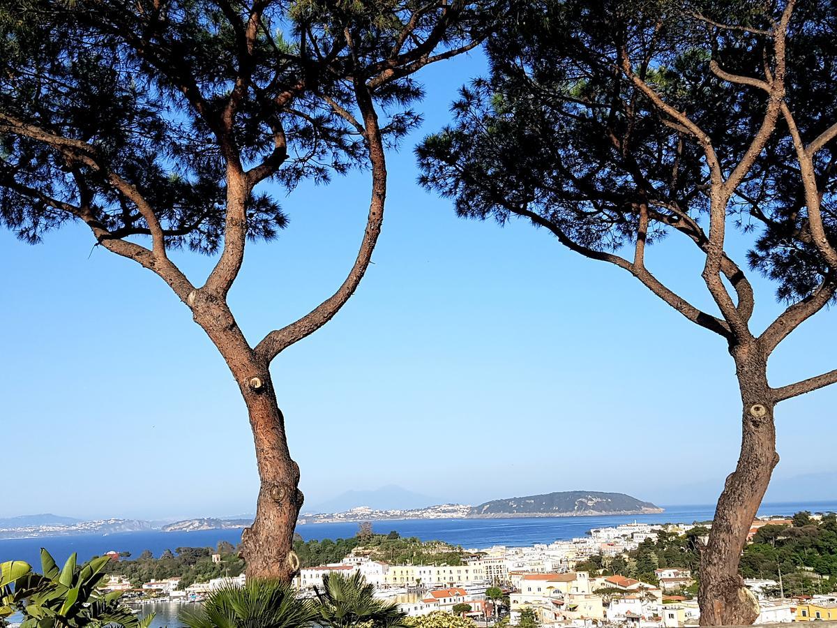 Ischia Dream Visions Apartment Luaran gambar
