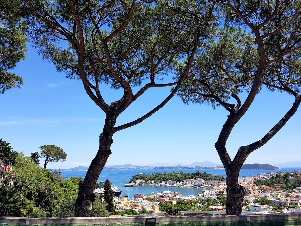 Ischia Dream Visions Apartment Luaran gambar