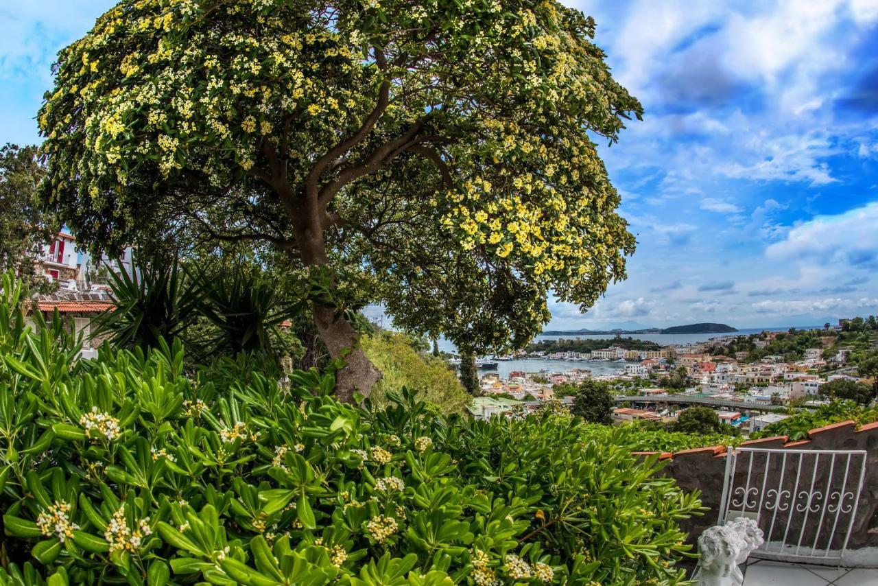 Ischia Dream Visions Apartment Luaran gambar